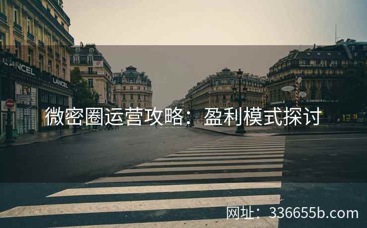 微密圈运营攻略:盈利模式探讨 微密圈运营攻略:盈利模式探讨