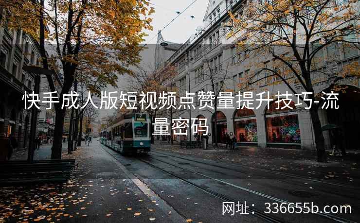 快手成人版短视频点赞量提升技巧-流量密码