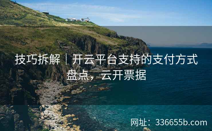 技巧拆解｜开云平台支持的支付方式盘点，云开票据